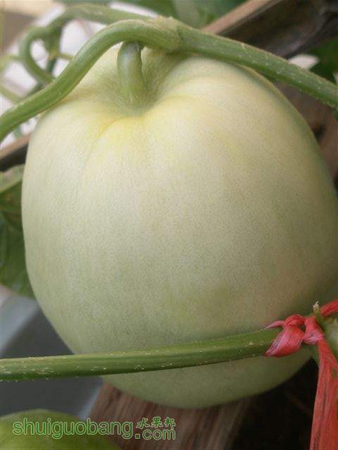3.ʧܵ.JPG
