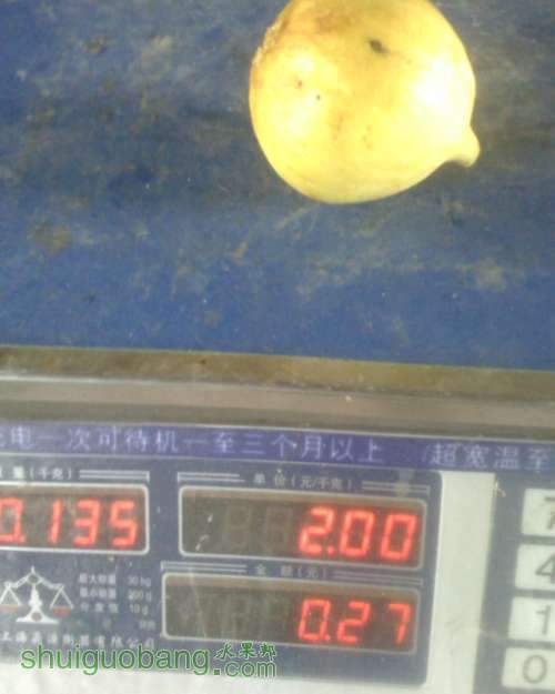 IMG0816152301.jpg