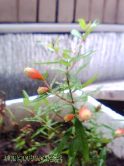 IMG0580A.jpg