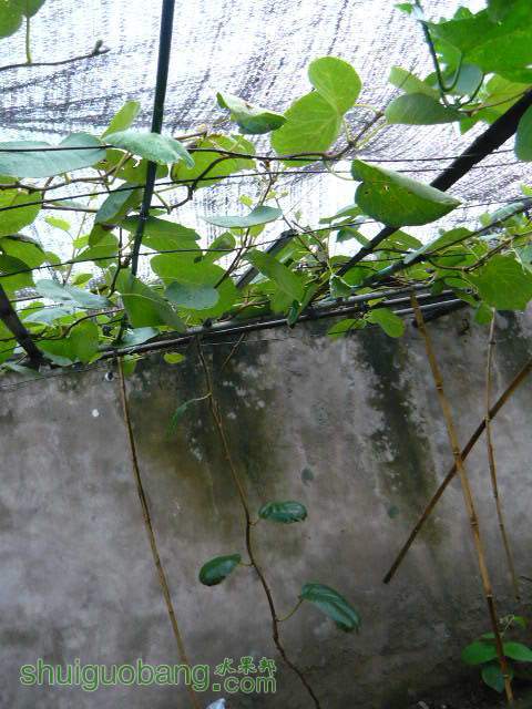 P1180022.JPG