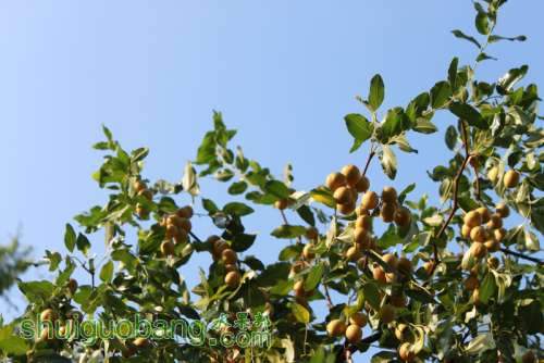 IMG_8549_С.JPG