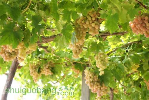 DSC01398 ().JPG