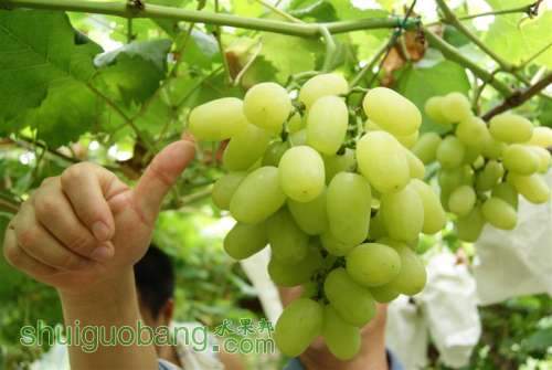 DSC01408 ().JPG