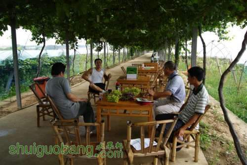 DSC01404 ().JPG