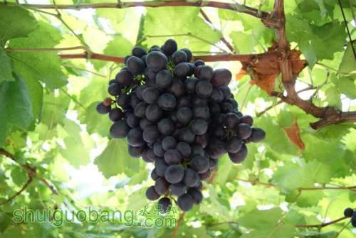 DSC01422 (����).JPG