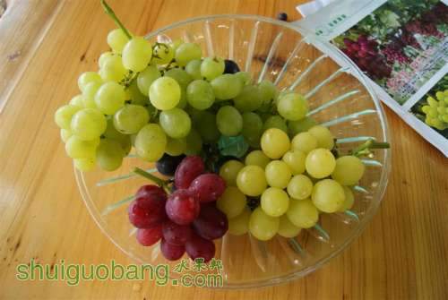 DSC01426 ().JPG