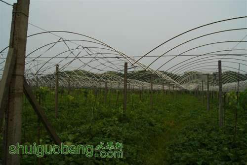 DSC01431 ().JPG