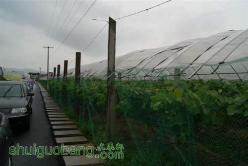 DSC01447 ().JPG