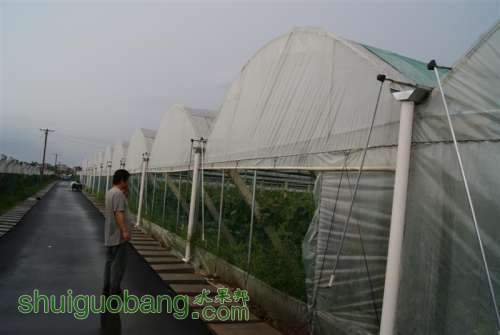 DSC01439 ().JPG