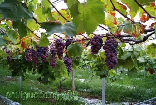 DSC01440 ().JPG