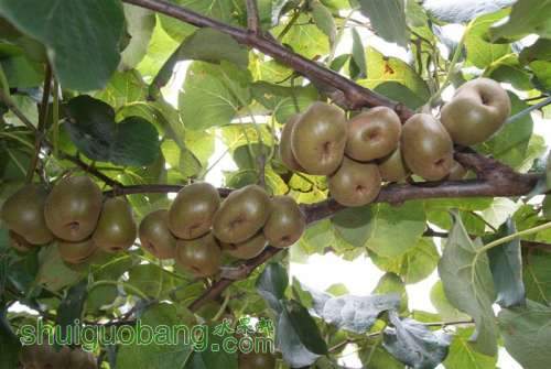 DSC01461 ().JPG