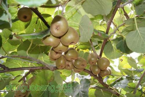 DSC01462 ().JPG