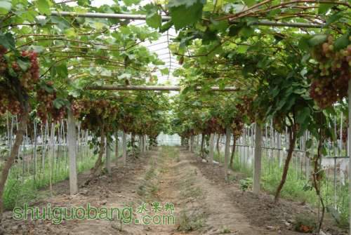 DSC01476 ().JPG