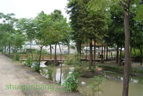 DSC01478 ().JPG