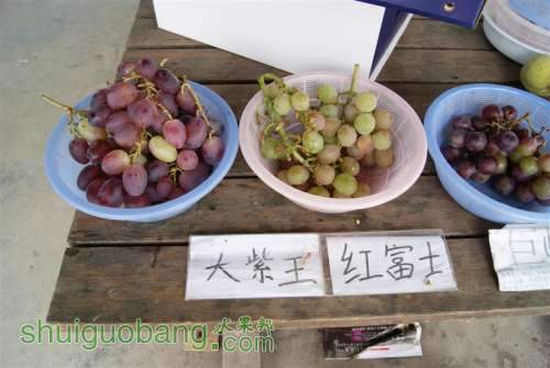 DSC01497 ().JPG