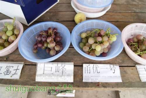 DSC01498 ().JPG