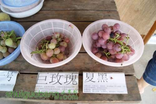 DSC01499 ().JPG