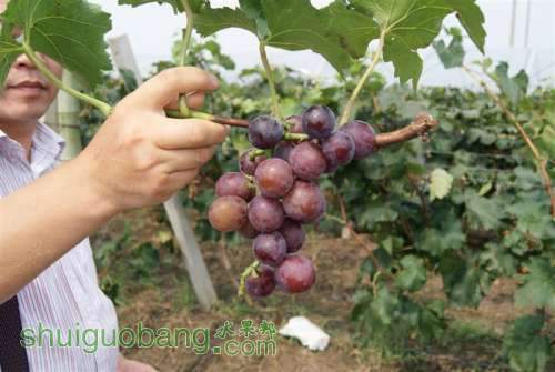 DSC01503 ().JPG