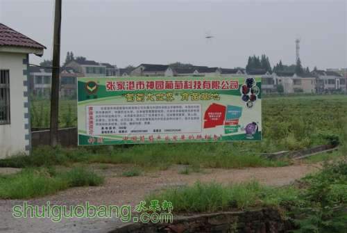 DSC01538 ().JPG