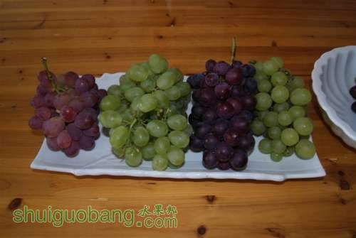 DSC01540 ().JPG