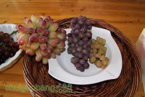DSC01542 ().JPG