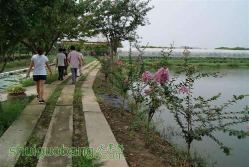 DSC01543 ().JPG