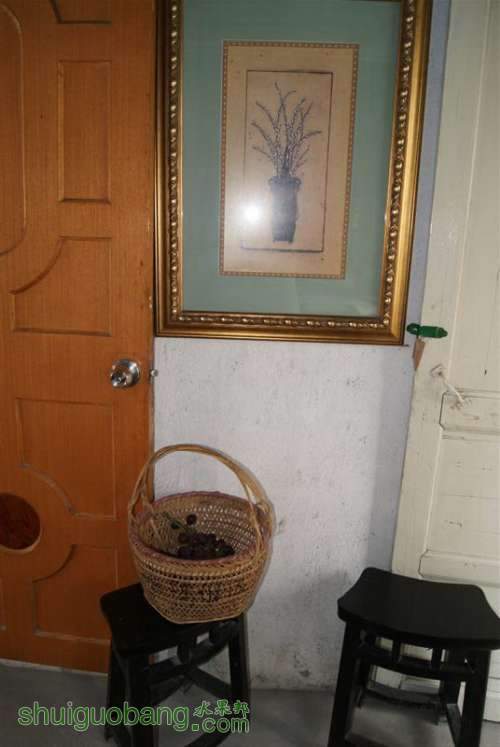 DSC01557 ().jpg