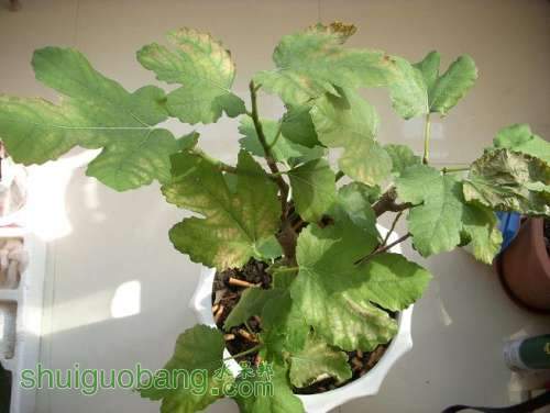Ƭ 059.JPG