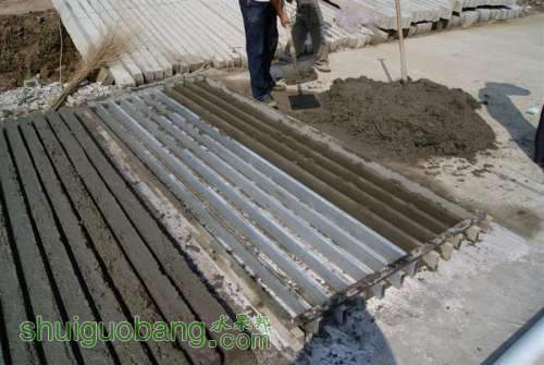 DSC01575 ().JPG