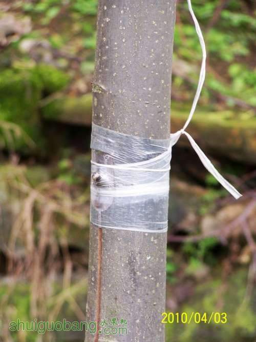 100_9107.JPG