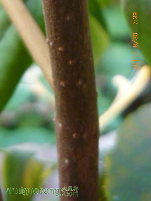 P1180460.JPG