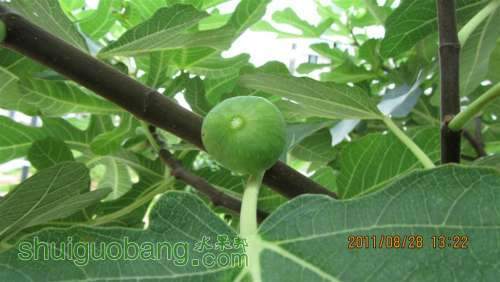 6IMG_0146 (����).JPG