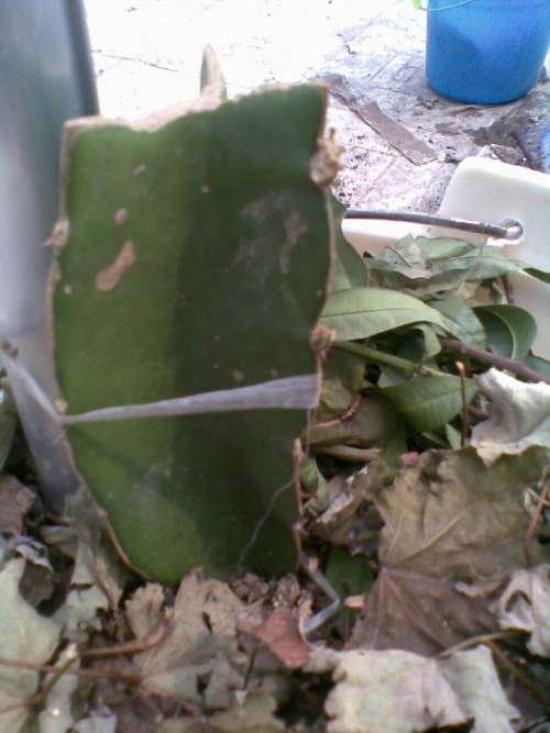 20110831(002).jpg