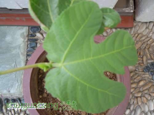 ��Ƭ 054.jpg