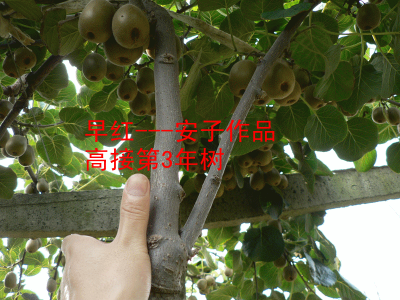 P1140828_.gif