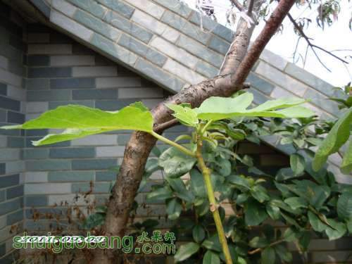 DSCN2057.JPG