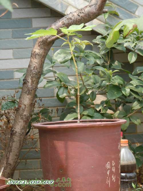 DSCN2058.JPG