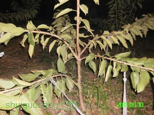 PICT0052.JPG