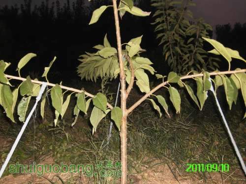 PICT0054.JPG