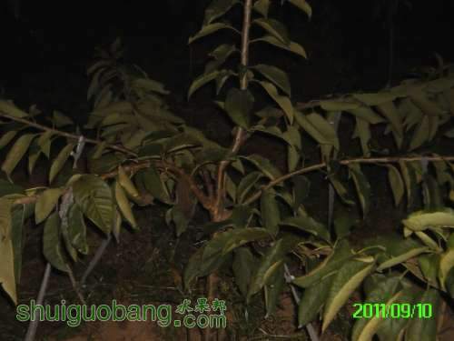 PICT0074.JPG