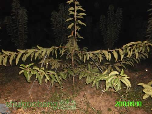 PICT0079.JPG