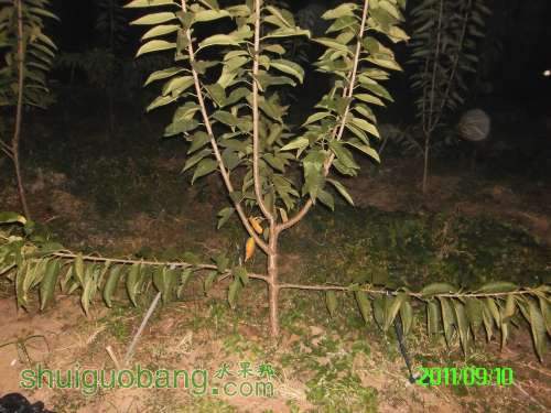 PICT0082.JPG