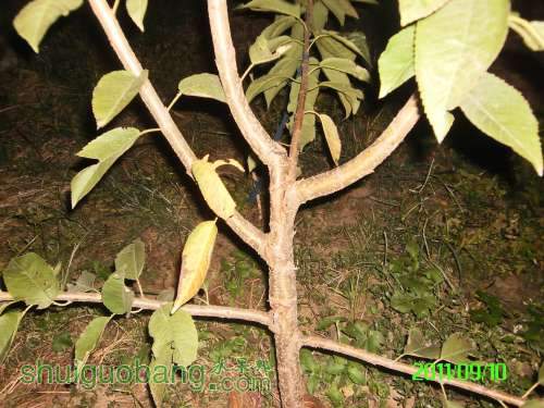 PICT0084.JPG