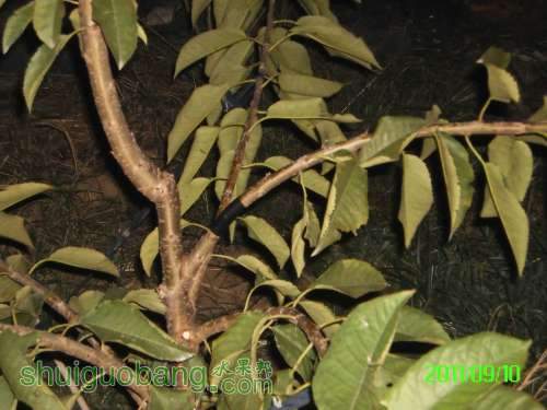 PICT0072.JPG