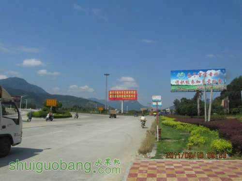 IMG_0960.JPG