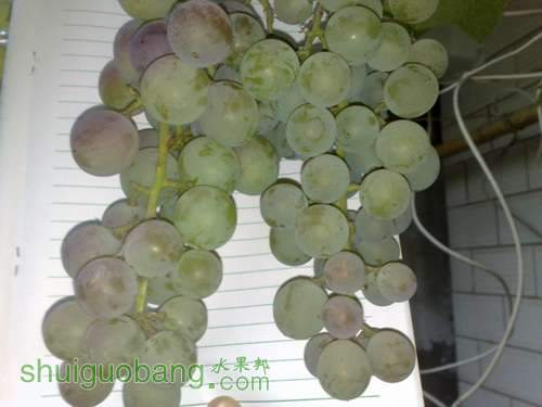 20110817831.jpg