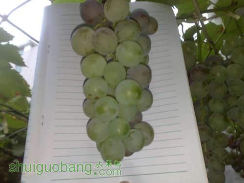 20110817834.jpg