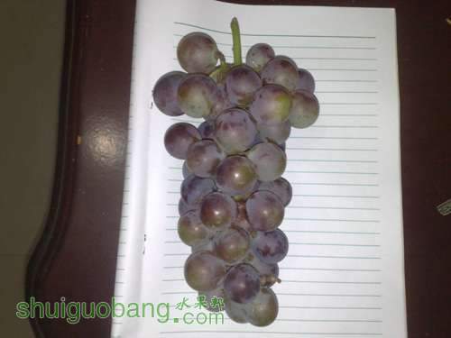 20110817835.jpg