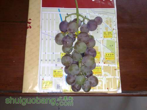 20110831837.jpg
