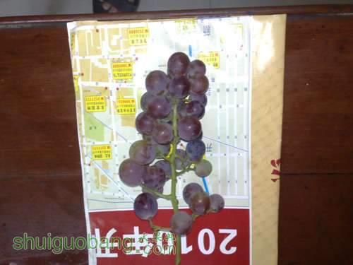 20110831839.jpg